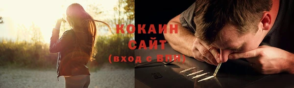 спайс Няндома