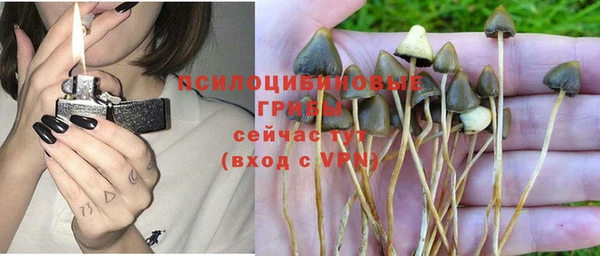 спайс Няндома