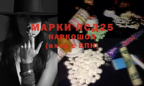 спайс Няндома