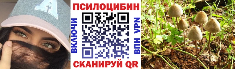 Псилоцибиновые грибы мухоморы Салаир