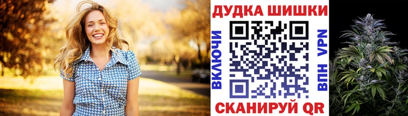 Шишки марихуана конопля Салаир